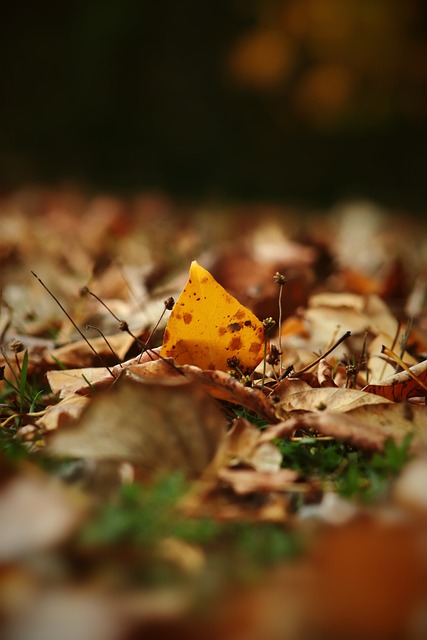 美官员：预计泽连斯基将与美签署稀土协议.