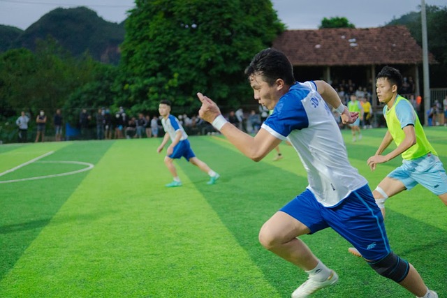 无法适应郑 无法适应郑