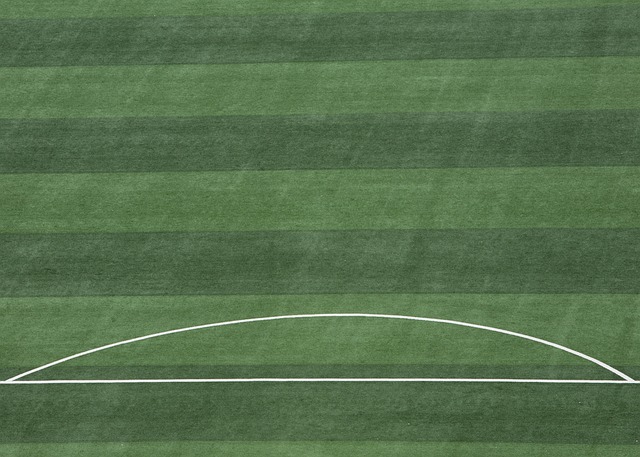 青训成果逐 青训成果逐